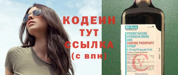 твердый Михайлов