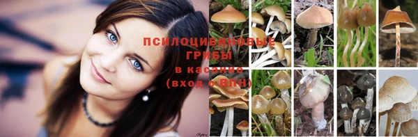 кокаин VHQ Михайловск