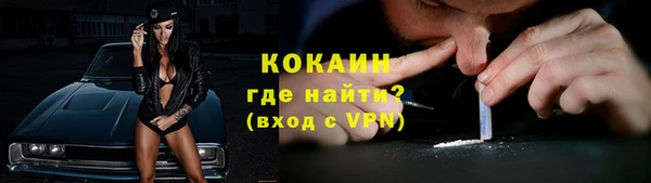 твердый Михайлов
