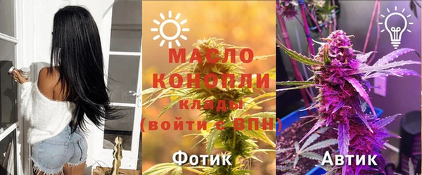 твердый Михайлов