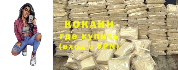 твердый Михайлов