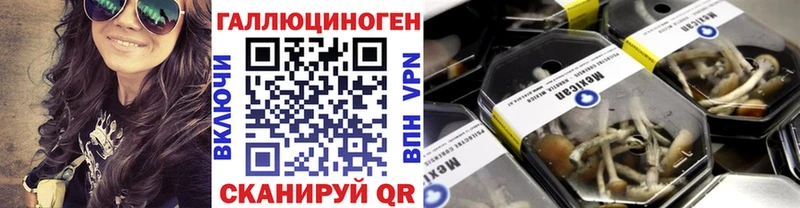 Галлюциногенные грибы GOLDEN TEACHER  наркотики  Тбилисская 